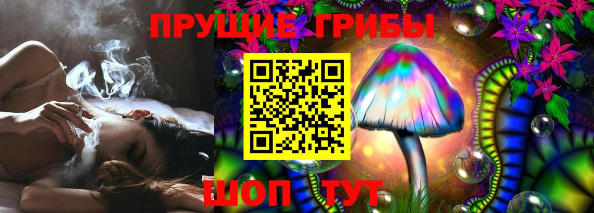 Шебекино  Псилоцибиновые грибы MAGIC MUSHROOMS  Вход с VPN 